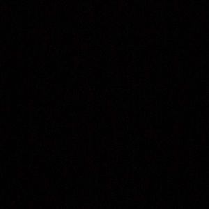 Meet your Posher, Arianna